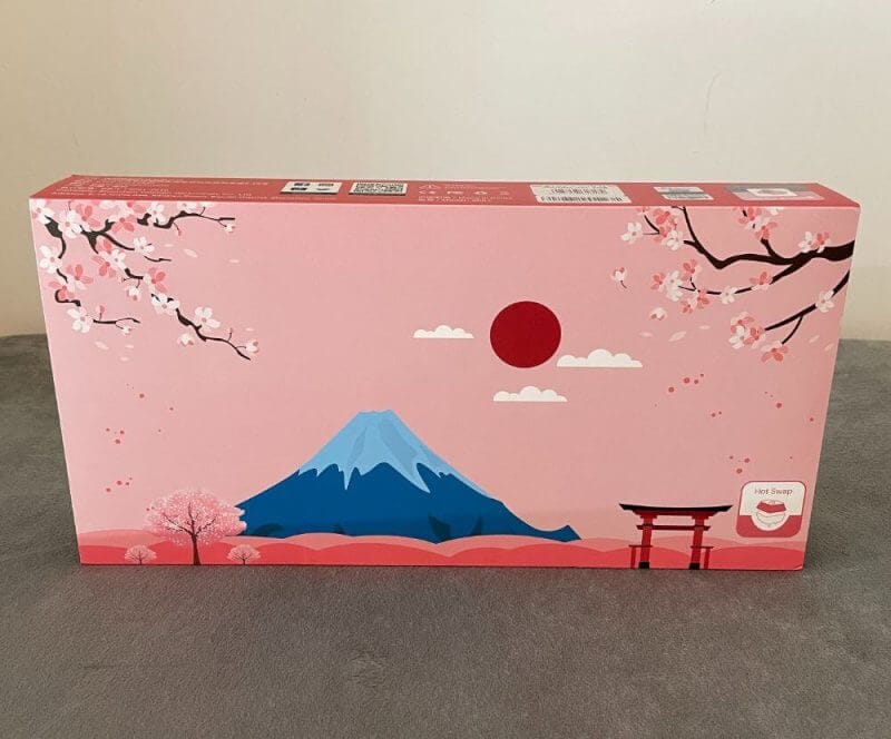 akko tokoy r2 keyboard review2 Akko World Tour Tokyo 3061S Mechanical Keyboard Review